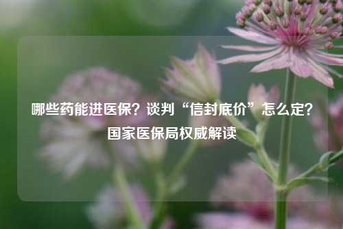 哪些药能进医保？谈判“信封底价”怎么定？国家医保局权威解读