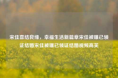 宋佳喜结良缘，幸福生活新篇章宋佳被曝已领证结婚宋佳被曝已领证结婚视频高芙