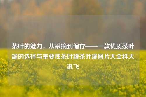 茶叶的魅力，从采摘到储存——一款优质茶叶罐的选择与重要性茶叶罐茶叶罐图片大全科大讯飞