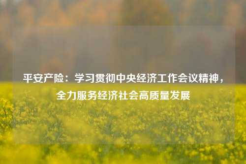 平安产险：学习贯彻中央经济工作会议精神，全力服务经济社会高质量发展