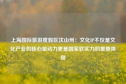 上海国际旅游度假区沈山州：文化IP不仅是文化产业的核心驱动力更是国家软实力的重要体现