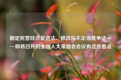 制定民营经济促进法、修改反不正当竞争法……即将召开的全国人大常委会会议有这些看点