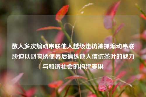 数人多次煽动串联他人越级走访被抓煽动串联胁迫以财物诱使幕后操纵他人信访茶叶的魅力与和谐社会的构建麦琳