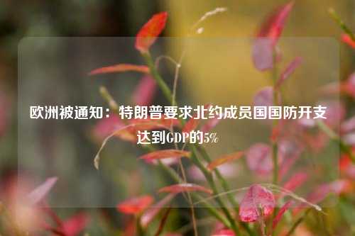 欧洲被通知：特朗普要求北约成员国国防开支达到GDP的5%