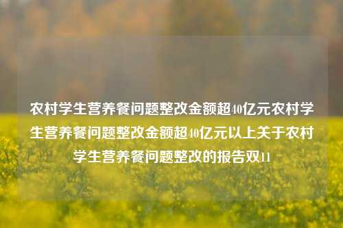 农村学生营养餐问题整改金额超40亿元农村学生营养餐问题整改金额超40亿元以上关于农村学生营养餐问题整改的报告双11