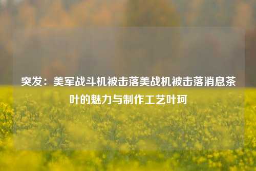 突发：美军战斗机被击落美战机被击落消息茶叶的魅力与制作工艺叶珂