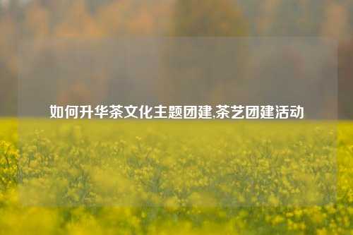 如何升华茶文化主题团建,茶艺团建活动