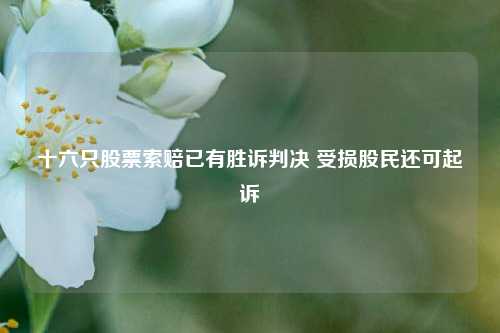 十六只股票索赔已有胜诉判决 受损股民还可起诉