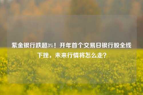 紫金银行跌超3%！开年首个交易日银行股全线下挫，未来行情将怎么走？