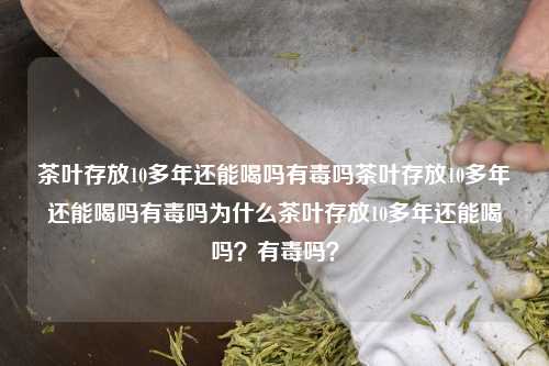 茶叶存放10多年还能喝吗有毒吗茶叶存放10多年还能喝吗有毒吗为什么茶叶存放10多年还能喝吗？有毒吗？