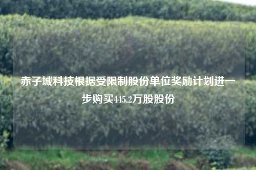 赤子城科技根据受限制股份单位奖励计划进一步购买445.2万股股份