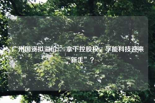 广州国资拟溢价37%拿下控股权，孚能科技迎来“新生”？