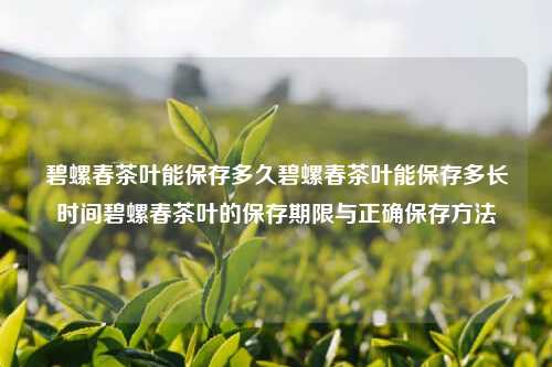 碧螺春茶叶能保存多久碧螺春茶叶能保存多长时间碧螺春茶叶的保存期限与正确保存方法