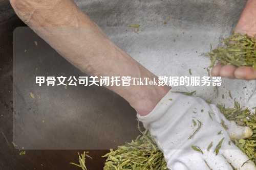 甲骨文公司关闭托管TikTok数据的服务器