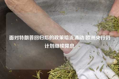 面对特朗普回归后的政策暗流涌动 欧洲央行仍计划继续降息