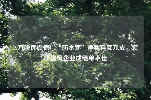 19万股民震惊！“防水茅”净利料降九成，装修建筑企业成绩单不佳