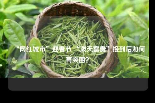 “网红城市”迎春节 “泼天富贵”接到后如何再突围？