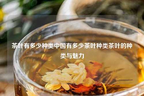 茶叶有多少种类中国有多少茶叶种类茶叶的种类与魅力