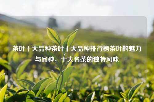 茶叶十大品种茶叶十大品种排行榜茶叶的魅力与品种，十大名茶的独特风味