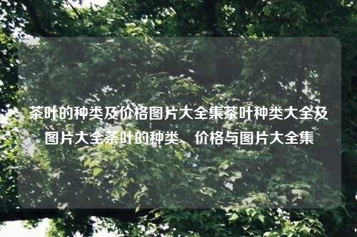 茶叶的种类及价格图片大全集茶叶种类大全及图片大全茶叶的种类、价格与图片大全集