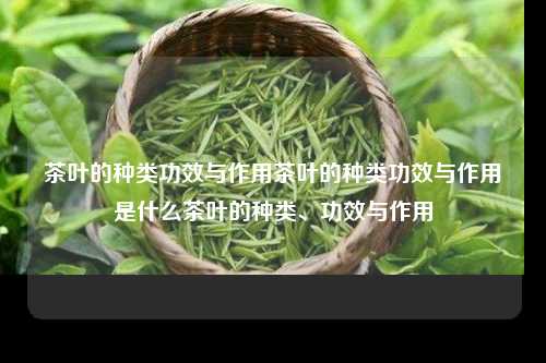 茶叶的种类功效与作用茶叶的种类功效与作用是什么茶叶的种类、功效与作用