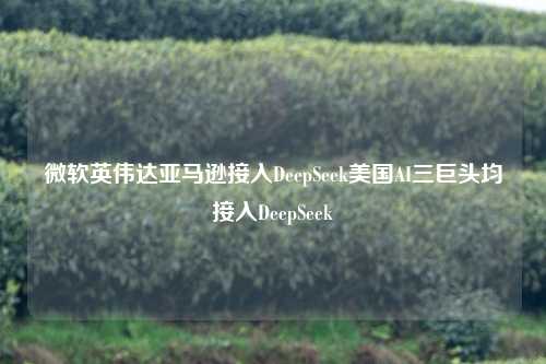 微软英伟达亚马逊接入DeepSeek美国AI三巨头均接入DeepSeek