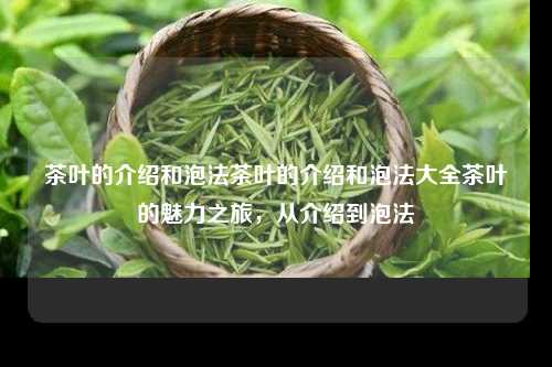 茶叶的介绍和泡法茶叶的介绍和泡法大全茶叶的魅力之旅，从介绍到泡法