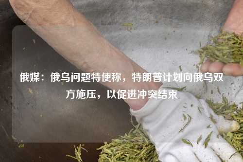 俄媒：俄乌问题特使称，特朗普计划向俄乌双方施压，以促进冲突结束