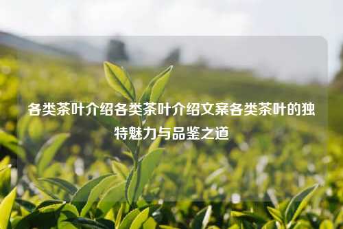 各类茶叶介绍各类茶叶介绍文案各类茶叶的独特魅力与品鉴之道