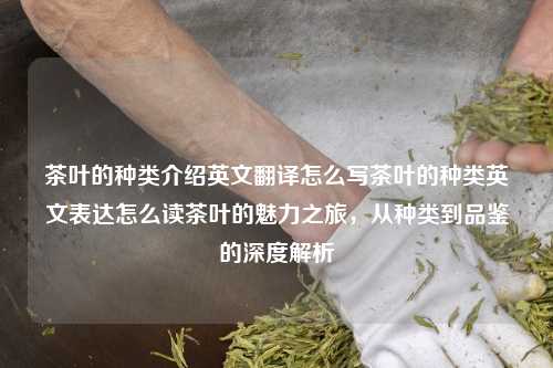 茶叶的种类介绍英文翻译怎么写茶叶的种类英文表达怎么读茶叶的魅力之旅，从种类到品鉴的深度解析