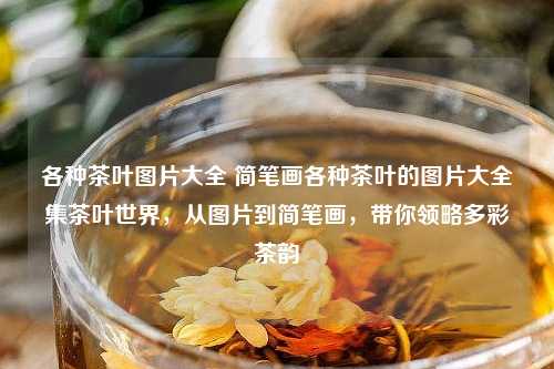 各种茶叶图片大全 简笔画各种茶叶的图片大全集茶叶世界，从图片到简笔画，带你领略多彩茶韵