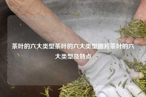 茶叶的六大类型茶叶的六大类型图片茶叶的六大类型及特点