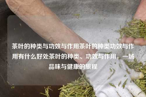 茶叶的种类与功效与作用茶叶的种类功效与作用有什么好处茶叶的种类、功效与作用，一场品味与健康的旅程