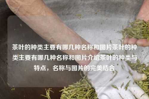 茶叶的种类主要有哪几种名称和图片茶叶的种类主要有哪几种名称和图片介绍茶叶的种类与特点，名称与图片的完美结合