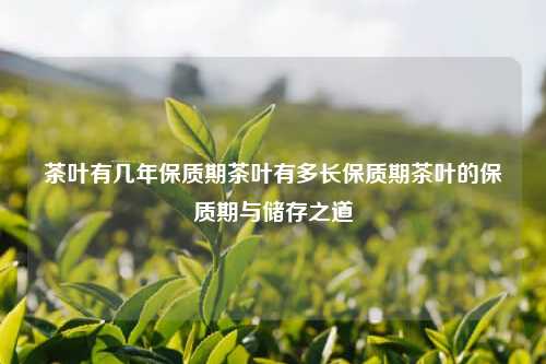 茶叶有几年保质期茶叶有多长保质期茶叶的保质期与储存之道