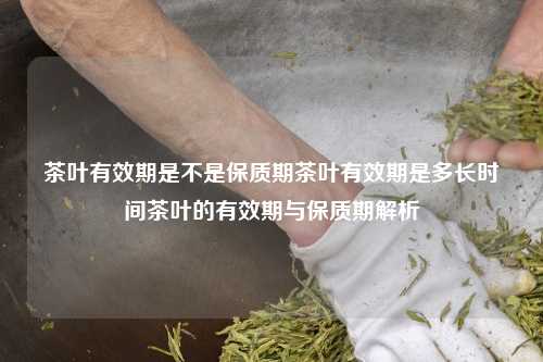 茶叶有效期是不是保质期茶叶有效期是多长时间茶叶的有效期与保质期解析