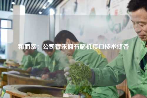 和而泰：公司暂未拥有脑机接口技术储备