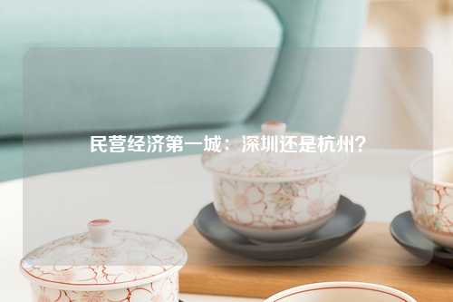 民营经济第一城：深圳还是杭州？