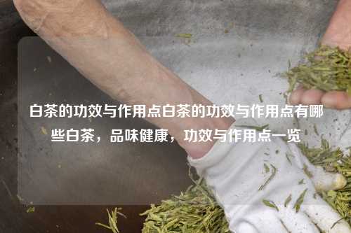 白茶的功效与作用点白茶的功效与作用点有哪些白茶，品味健康，功效与作用点一览