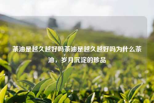 茶油是越久越好吗茶油是越久越好吗为什么茶油，岁月沉淀的珍品