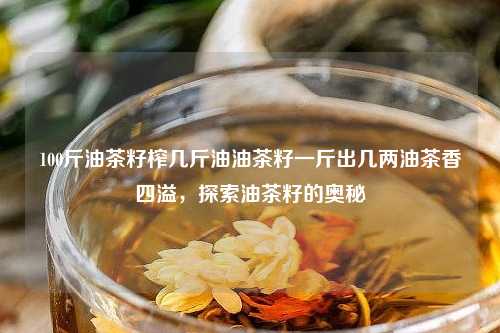 100斤油茶籽榨几斤油油茶籽一斤出几两油茶香四溢，探索油茶籽的奥秘