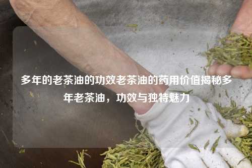 多年的老茶油的功效老茶油的药用价值揭秘多年老茶油，功效与独特魅力