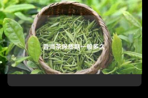 普洱茶保质期一般多久