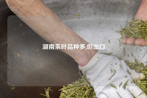 湖南茶叶品种多,但出口