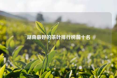 湖南最好的茶叶排行榜前十名