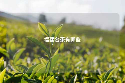 福建名茶有哪些