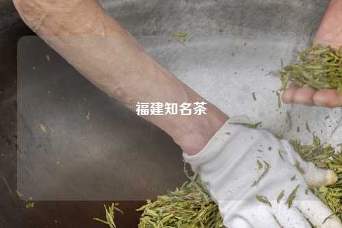 福建知名茶