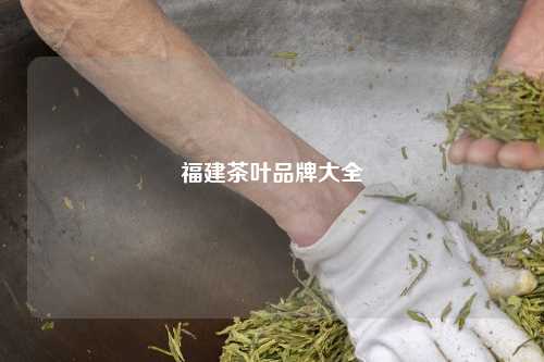 福建茶叶品牌大全